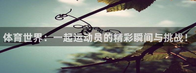 3377体育网页登录入口