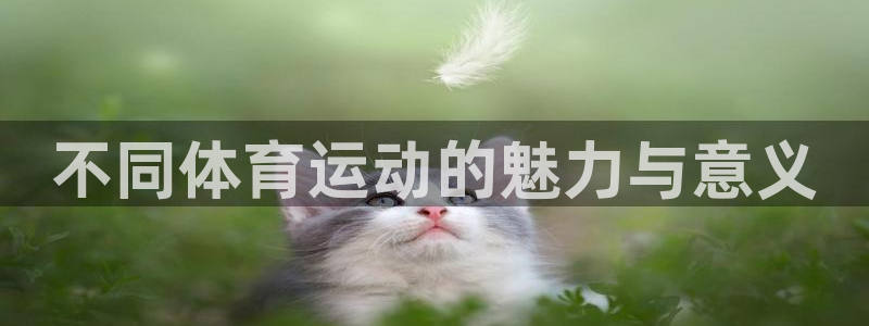 3377体育全网