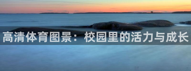 3377体育中国官方网站入口