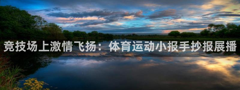 3377体育com