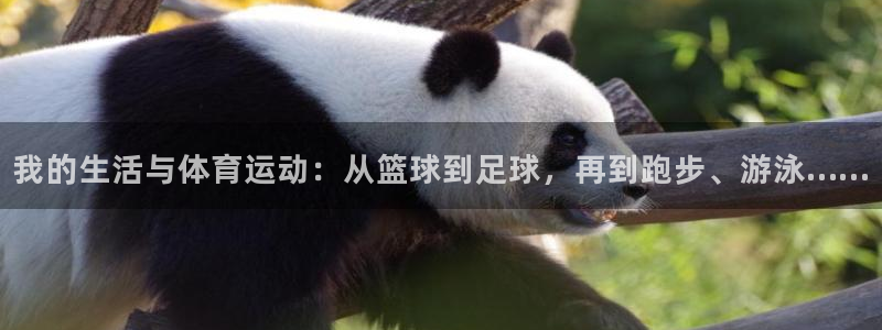 3377体育官网下载