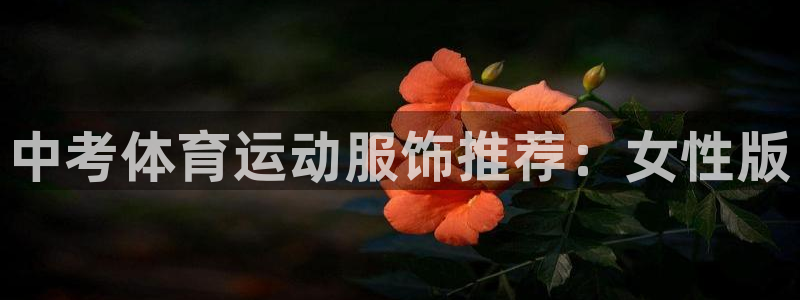 3377体育官网