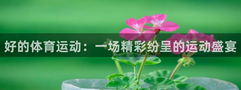 3377体育是正规的吗