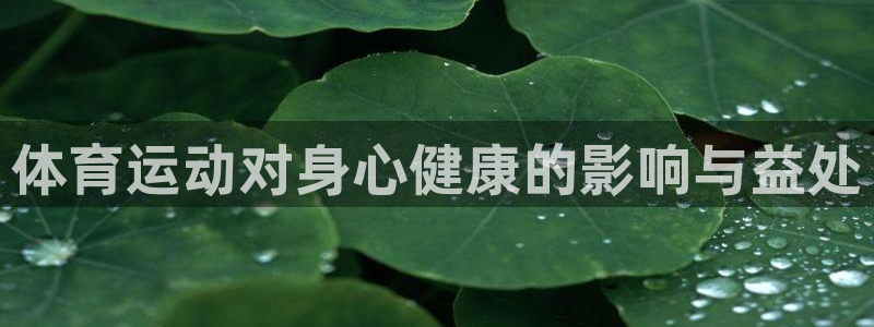 3377体育app下载安装