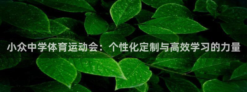 3377体育是正规平台吗