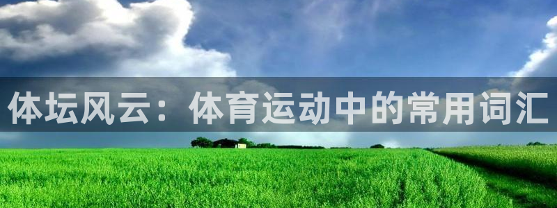 3377体育app下载安装