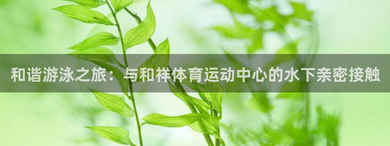3377体育app登录入口