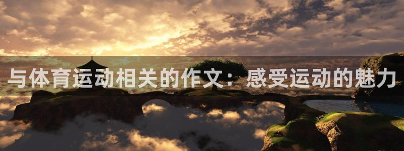 3377体育官网