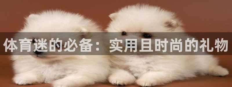3377体育网页登录入口