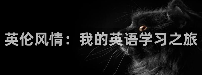 3377体育app官网下载地址