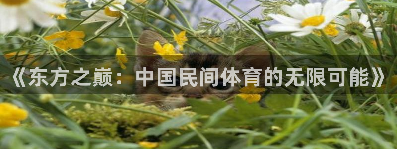 3377体育官网