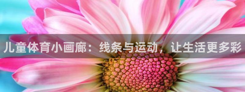 3377体育平台